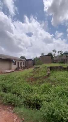 Affordable Dry Half Plot of Land with High Future Value, Off Joke Ayo Road, Via Iyana-ekoro, Meiran, Agege, Lagos, Residential Land for Sale