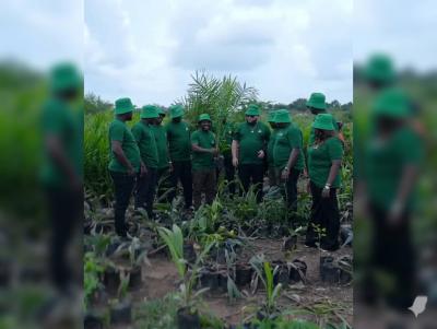 Acres & Hectare of Palm Oil Farmland, Imala-anigbado, Abeokuta North, Ogun, Land for Sale