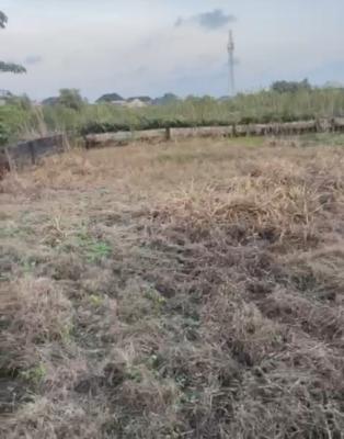720sqm Land Close to Expressway, Kara Market , Close to Expressway, Ibeju Lekki, Lagos, Mixed-use Land for Sale