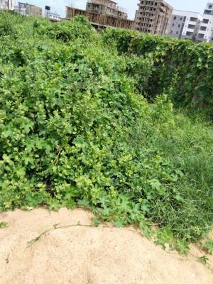 Bare Land, Victory Park Estate, Osapa, Lekki, Lagos, Land for Sale