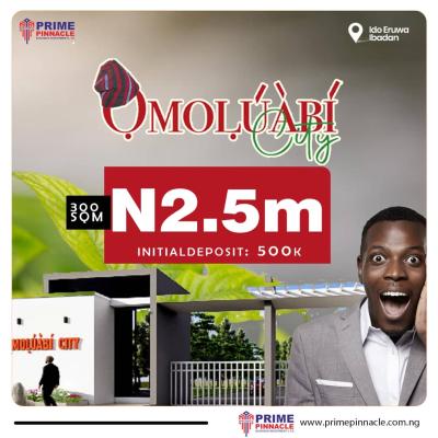 Affordable C of O Land in Ibadan 2.5m,  500k Deposit at Omoluabi City, Omoluwabi Estate, Ewura. Come with a Gate House, Ibadan, Oyo, Mixed-use Land for Sale