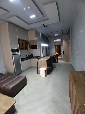 Fully Furnished 1 Bedroom Block of Flat, Asokoro Abuja Diplomatic Zone, Asokoro District, Abuja, House for Rent