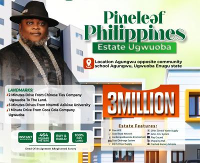 Acres of Commercial and Residential Investment Land, Philippines Pineleaf Estate Located at Agwugwu Ugwuoba, Enugu, Enugu, Industrial Land for Sale