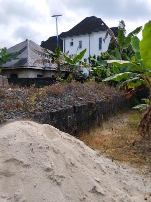 1 Plot of Land, Amechi School Road Obirikwerre, Port Harcourt, Rivers, Mixed-use Land for Sale