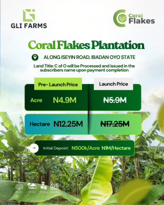 Farm Land Investment in a Strategic Location with High Returns, Iseyin Road, Ibadan, Oyo, Commercial Land for Sale