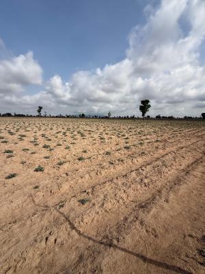 5 Hectares of Farm Land Up for Grab, Gora Zaku Bello, Karu, Nasarawa, Commercial Land for Sale