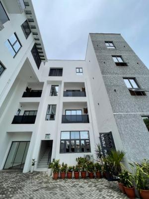 Nicely Furnished 2 Bedroom Apartment, Lekki, Lagos, Flat / Apartment for Rent