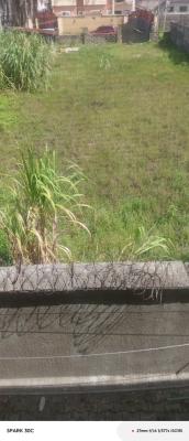 Already Sand Filled 1000sqm of Land Available, Banana Island, Ikoyi, Lagos, Residential Land for Sale