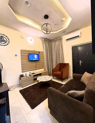 Stylishly Furnished and Well Serviced Luxury 1 Bedroom Apartment, Off Bode Thomas, Surulere, Lagos, Mini Flat (room and Parlour) Short Let