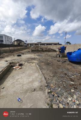 900 Sqms of Dry Land, Badore Road, Badore, Ajah, Lagos, Commercial Land for Rent
