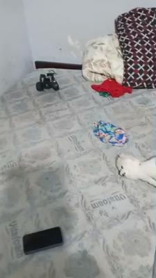Lovely Self Contain Apartment, Adeniyi Jones, Adeniyi Jones, Ikeja, Lagos, Self Contain (single Rooms) for Rent