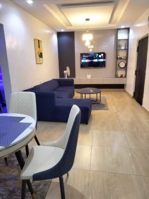 Fully Furnished 5 Units of 2 Bedroom Flats, Constain Area, Ebute Meta Axis, Lagos, Yaba, Lagos, Flat / Apartment for Rent