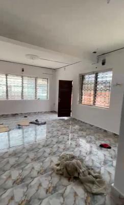 Newly Renovated 4 Bedroom Apartment (for Residential and Commercial), Surulere, Lagos, Flat / Apartment for Rent