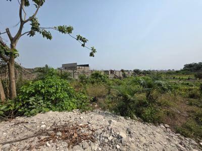 Land Measuring 11 Plots, Jubril Okelewu Estate Beside Reddington School, Olokonla, Ajah, Lagos, Land Joint Venture