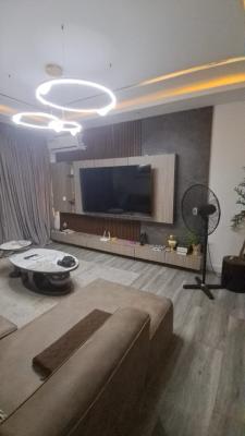 Fully Furnished 2 Bedroom Flat, Platinum Way Beside Nicon Town, Ikate, Lekki, Lagos, Flat / Apartment for Sale