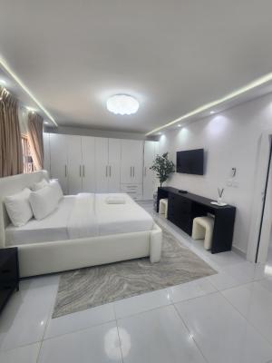 Luxury Furnished 3 Bedrooms Apartment, Old Ikoyi, Ikoyi, Lagos, Flat / Apartment for Rent