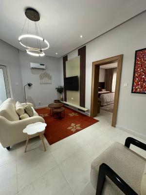 Luxury and Fully Furnished 2 Bedroom Apartmenwith 24 Hours Electricity, Asokoro District, Abuja, Flat / Apartment for Rent
