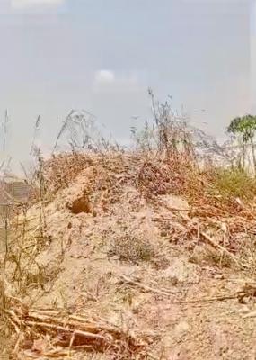 Massive Investment Opportunities: 20 Hectares in Sought After, 2, Guzape District, Abuja, Land for Sale