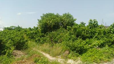 Land Measuring 450 Square Meters, Beechwood Estate, Imalete Alafia, Ibeju Lekki, Lagos, Residential Land for Sale