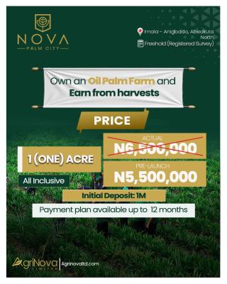 Nova Palm Oil City( Palm Oil Farm), Nova Palm City Is Situated at Lmala Anigbado, Abeokuta North, Ogun, Commercial Land for Sale