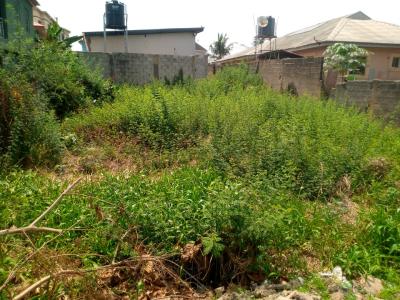 a Standard Half Plot of Land, Oke Ira, Ogba, Ikeja, Lagos, Mixed-use Land for Sale