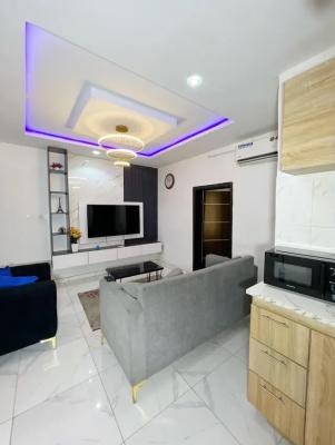 Fully Furnished Mini Flat, Surulere, Lagos, Mini Flat (room and Parlour) for Rent