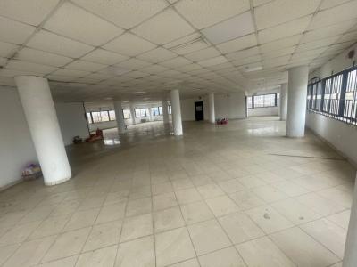 Open Plan Office Space on The 1st Floor Measuring 295sqmts  per Floor, Off Awolowo Way, Ikeja, Lagos, Commercial Property for Rent