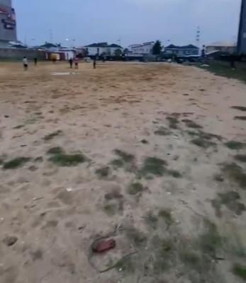 9,119sqm, Freedom Way, Lekki Phase 1, Lekki, Lagos, Mixed-use Land for Sale