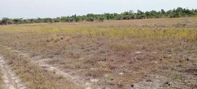 Affordable Land, Sun City Estate, Ode Omi, Ibeju Lekki, Lagos, Residential Land for Sale