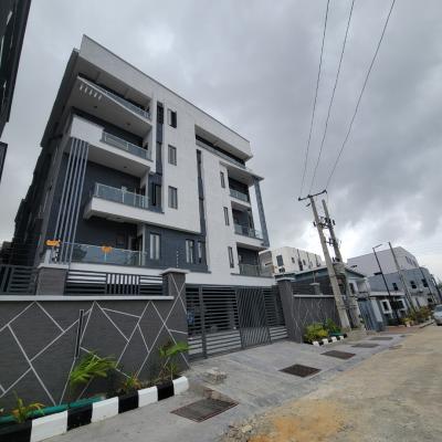 Lovely 2 Bedroom Apartment Fully Furnished with a Pool, Gym & Elevator, Ikate, Lekki, Lagos, Flat / Apartment for Sale