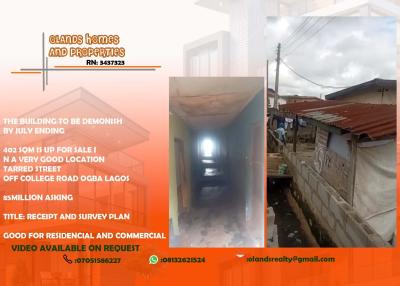 402 Sqm, Good Location, Tarred Street, College Road, Ogba, Ikeja, Lagos, Mixed-use Land for Sale