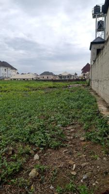 Land, Apple Junction, Amuwo Odofin, Lagos, Mixed-use Land for Sale