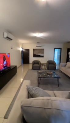 Executive Fully Furnished 3 Bedroom Apartment with a Bq, Old Ikoyi, Old Ikoyi, Ikoyi, Lagos, Flat / Apartment for Rent