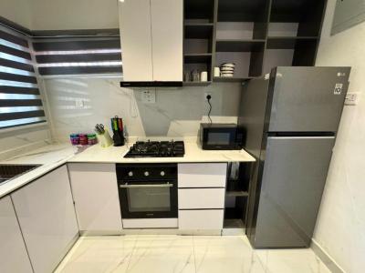 Luxury Fully Furnished 3 Bedroom Terrace Duplex in Lekki Phase 0ne, Lekki Phase 0ne, Lekki Phase 1, Lekki, Lagos, House for Rent