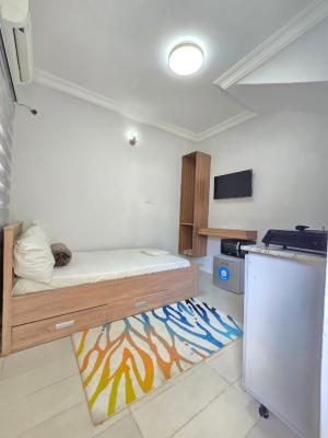 Fully Furnished Studio Apartment in a Call to Access Estate, Osapa, Lekki, Lagos, Flat / Apartment for Rent