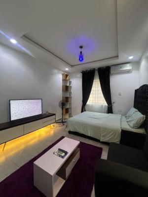 Serviced Studio Apartment Fully Furnished, Jibowu, Yaba, Lagos, Self Contain (single Rooms) for Rent