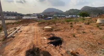 Nice Nested Estate  Land, Asokoro District, Abuja, Land for Sale