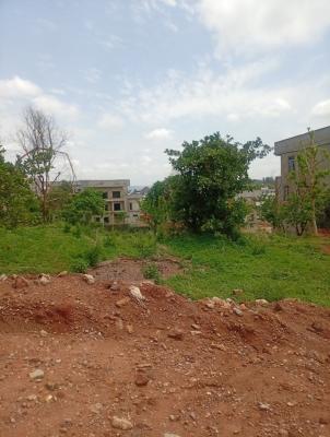 1800sqms Residential Land, Asokoro District, Abuja, Residential Land for Sale