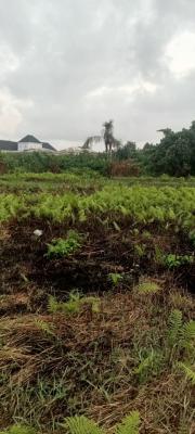 Appreciating Full Plot of Land with Registered Survey, Lasu/isheri Road, Ikotun, Lagos, Residential Land for Sale