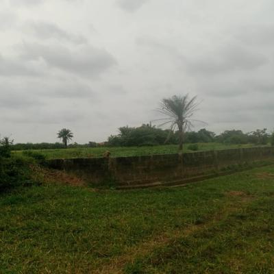 Land Measuring 700 Sqm with Cofo, Channels Tv Area Isheri North Opic, Opic, Isheri North, Lagos, Land for Sale