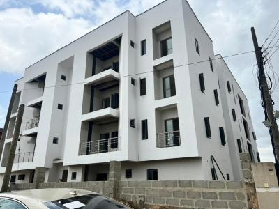 a Luxury 2 Bedroom Flat with a Bq, Soluyi, Gbagada, Lagos, Flat / Apartment for Sale