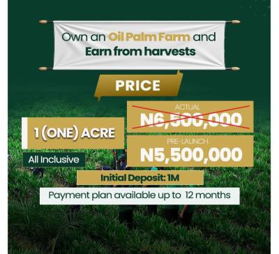 Agric Investment Palm Oil 3000 Sqm Mega Farm  Land, Nova Mega Farm Imala-anigbado, Abeokuta North, Ogun, Land for Sale