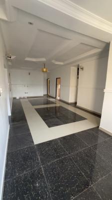 3 Bedroom Magnificent Finished Apartment, Mabushi District, Mabushi, Abuja, Flat / Apartment for Rent