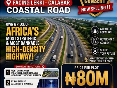 13.5 Hectares of Bare Land (270 Plots)
