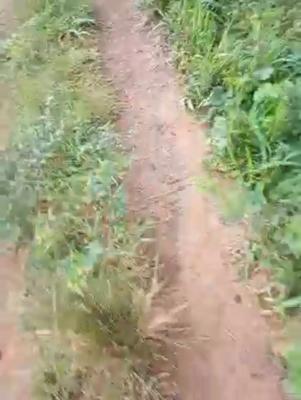 560 Sqm of Land, Uba Cooperative, Igbowaju, Simawa, Ogun, Land for Sale