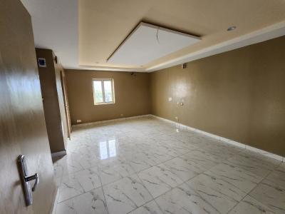 Brand New, Luxury and Very Spacious Studio Apartment at Gwarinpa, 69 Road, Gwarinpa, Abuja, Self Contain (single Rooms) for Rent