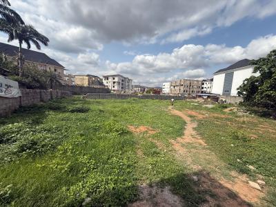 a Very Juicy Landed Opportunity in a Premium Neighborhood, Gilmore, Jahi, Abuja, Residential Land for Sale