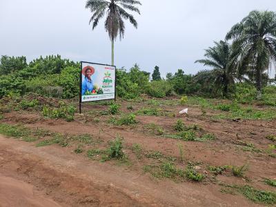 Exclusive  Farmland, Jaiye Farms,  Okeye Isiwo, Ijebu Ode, Ogun, Mixed-use Land for Sale