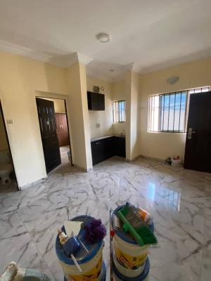 Pay and Pack in Spacious Mini Flat with Two Toilet, Off College Road Ogba, Ogba, Ikeja, Lagos, Mini Flat (room and Parlour) for Rent