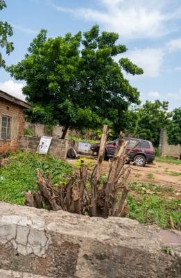 Half Plot of Land in Ebute, Ebute, Ikorodu, Lagos, Commercial Land for Sale